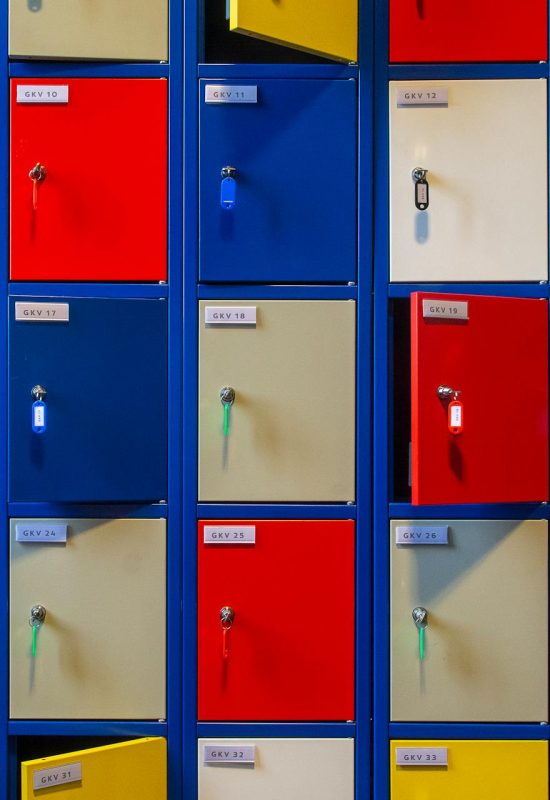 pexels-jan-van-der-wolf-11680885-32979381